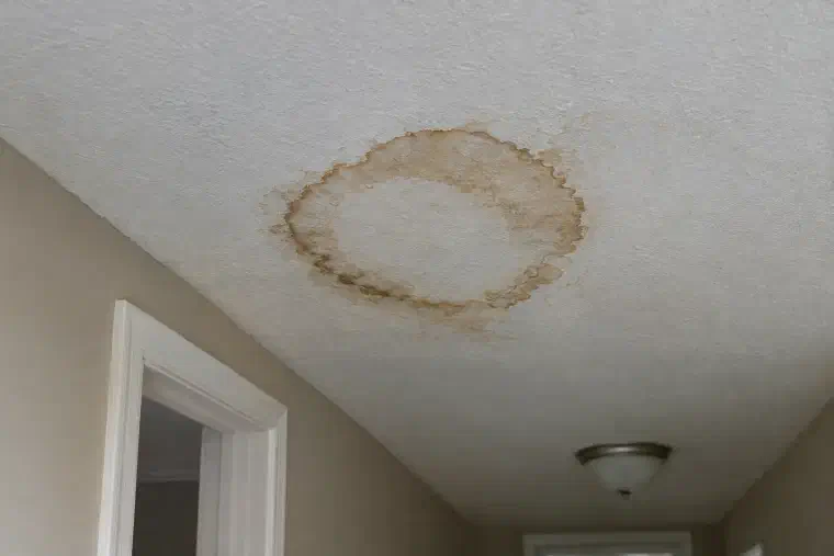 Brown ring-shaped water stain spreading across a white hallway ceiling.