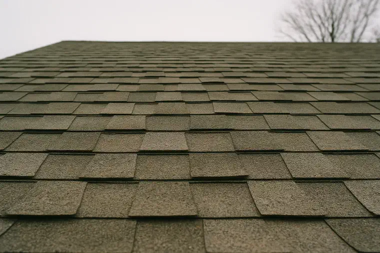 Curled shingle edges on a roof Rows of asphalt shingles curling upward at their edges across an aging roof.