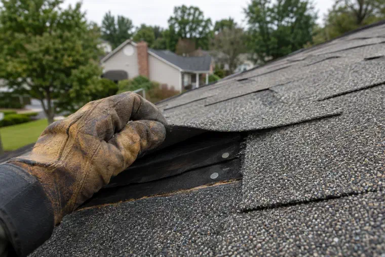 Leather work glove lifting one shingle to show the nails and underlayment beneath.