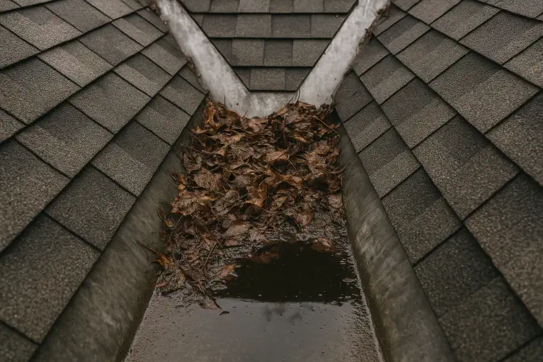 Standing water in a roof valley Leaves and grit damming a roof valley with water pooled behind the blockage.