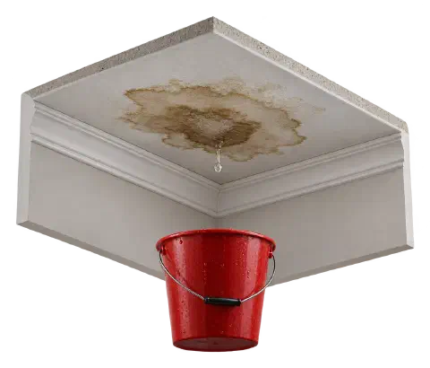Ceiling water stain from a roof leak Brown water stain on a white ceiling with a red bucket catching drips.