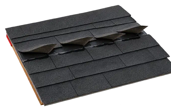 Row of asphalt shingles lifted and creased by wind across a roof.